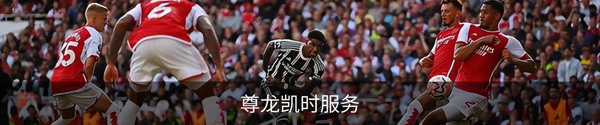 尊龙凯时服务